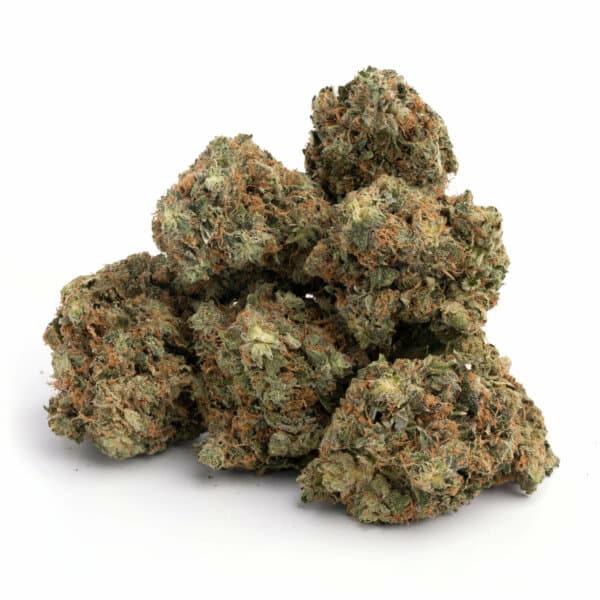 King Kush