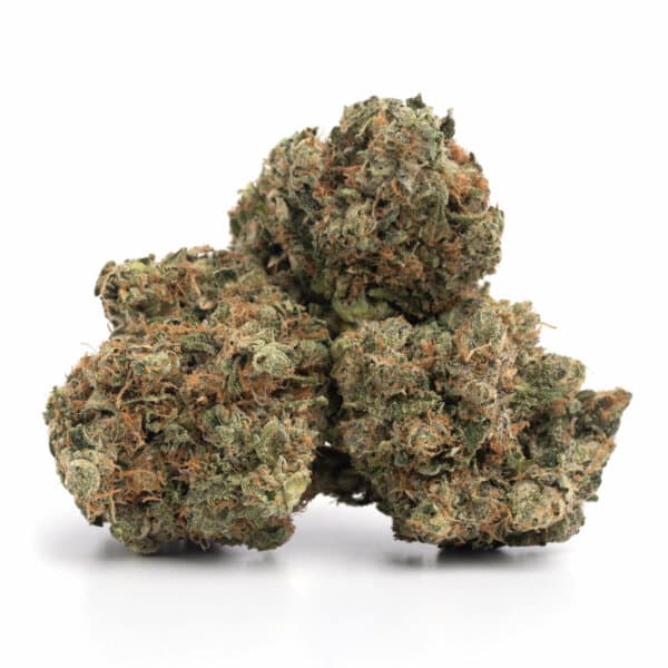 King Kush view 2