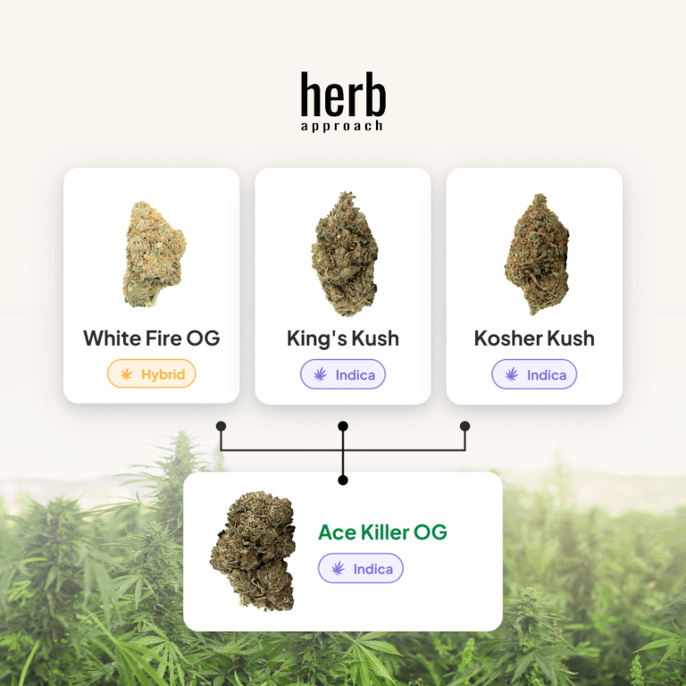 Ace Killer OG