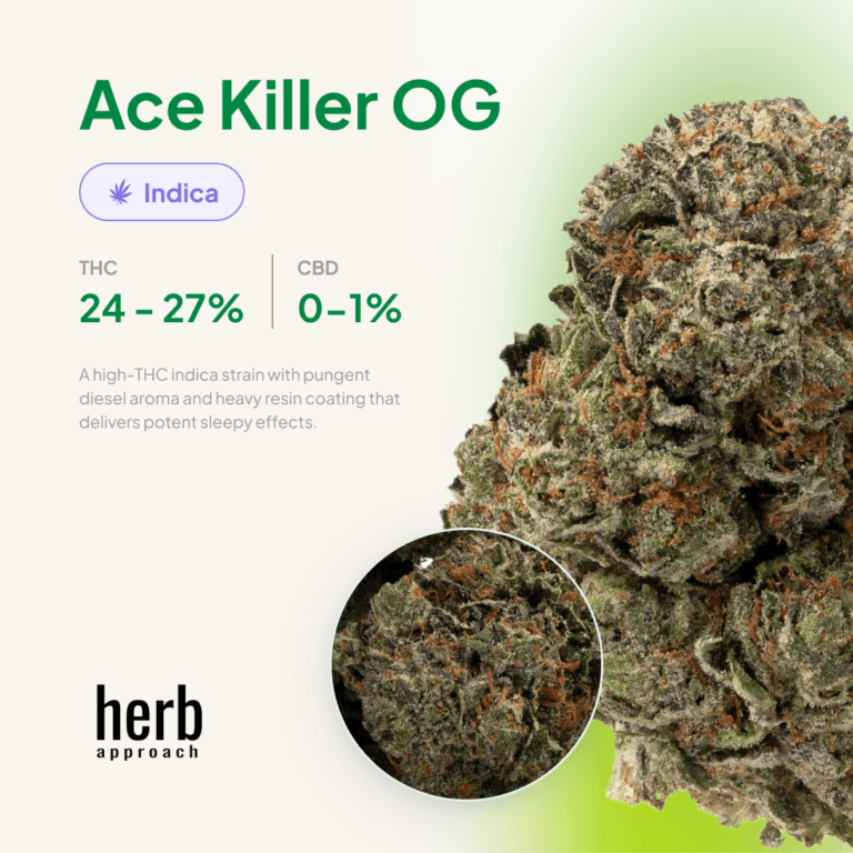 Ace Killer OG view 3