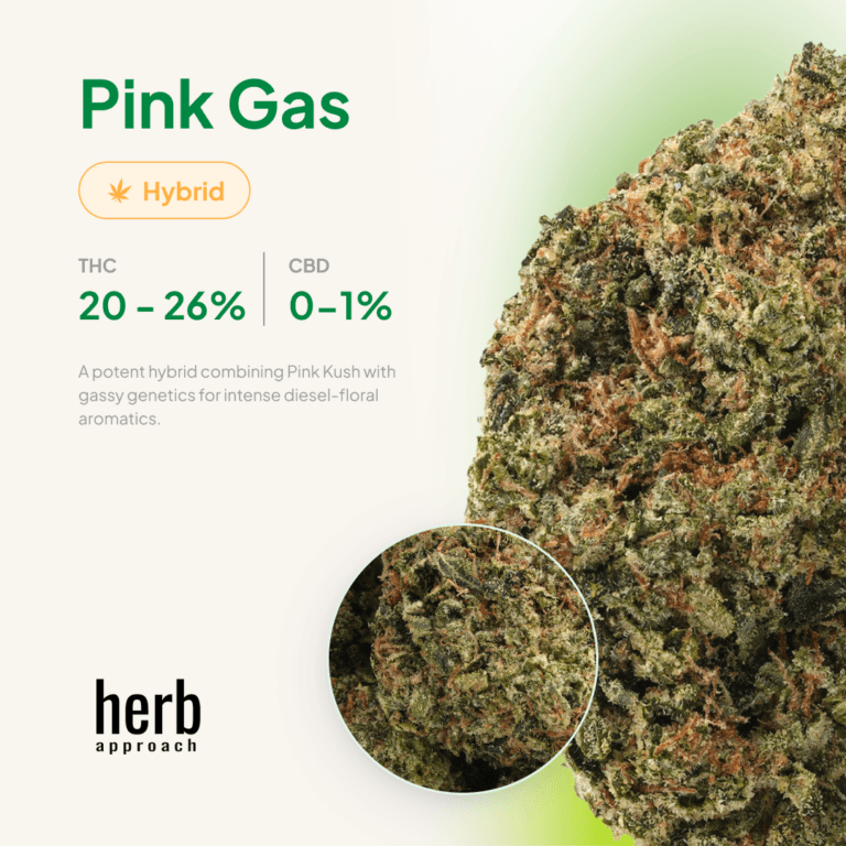 Pink Gas view 4