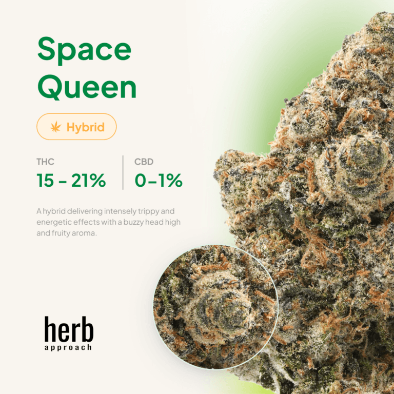 Space Queen view 4
