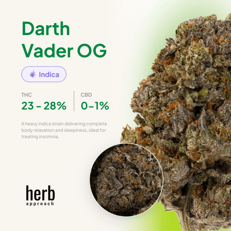 Darth Vader OG view 6