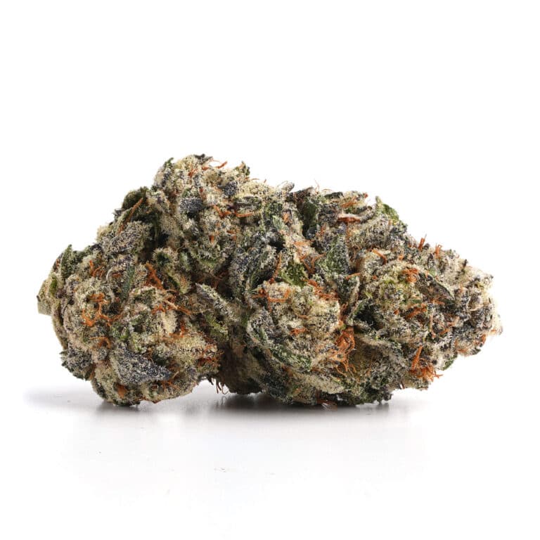 Lemon Cherry Gelato