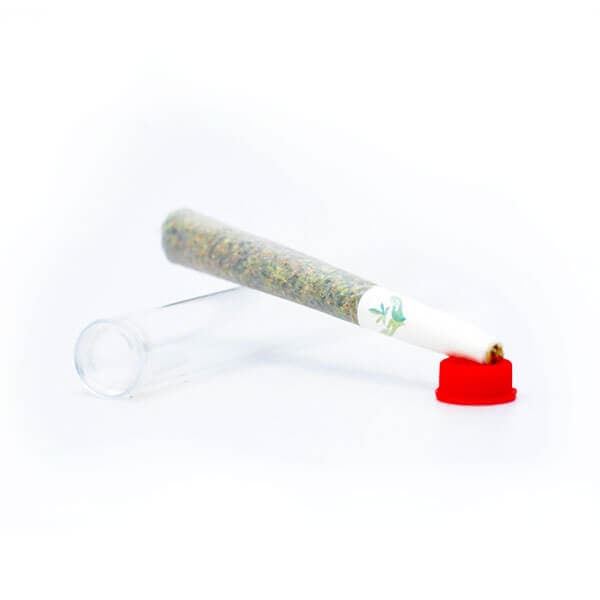 Sativa Pre-Rolled Joint