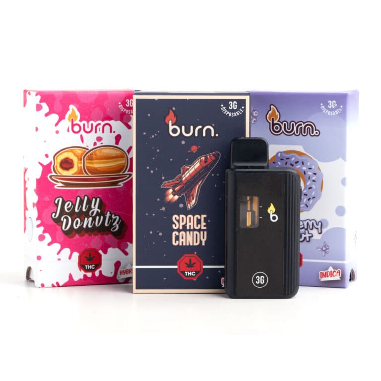 3g Disposable Vapes (Burn)