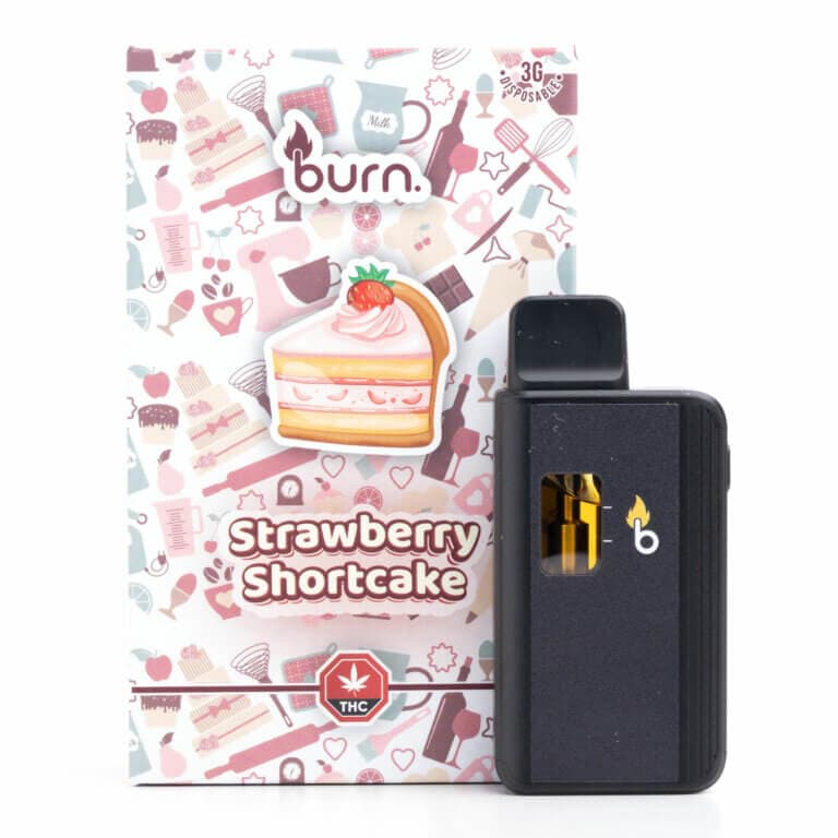 3g Disposable Vapes (Burn) view 2