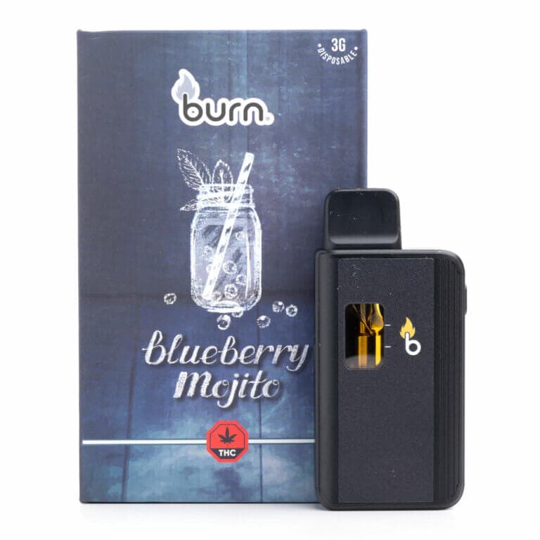 3g Disposable Vapes (Burn) view 3
