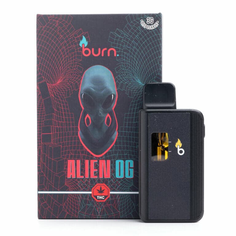 3g Disposable Vapes (Burn) view 4